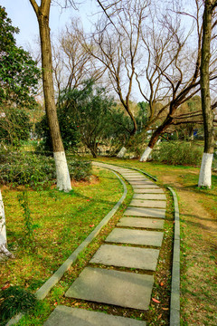 江南公園小路景觀 小路 樹木