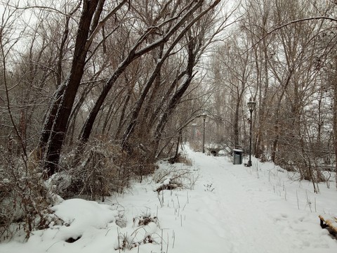 公園雪景