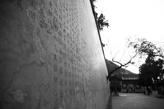 濟(jì)南千佛山 （51）