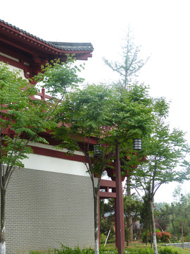 園林風(fēng)景