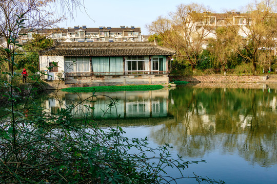 公園水中樹(shù)影 水面樹(shù)影 樹(shù)木