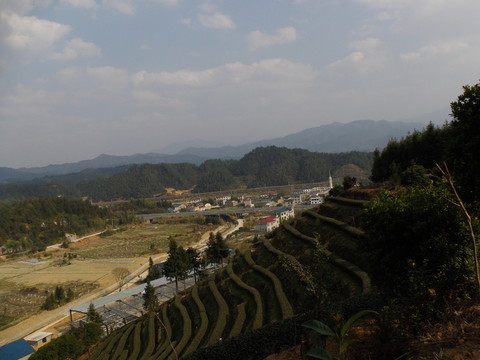 茶山遠眺