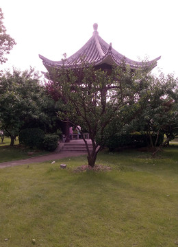 公園小亭