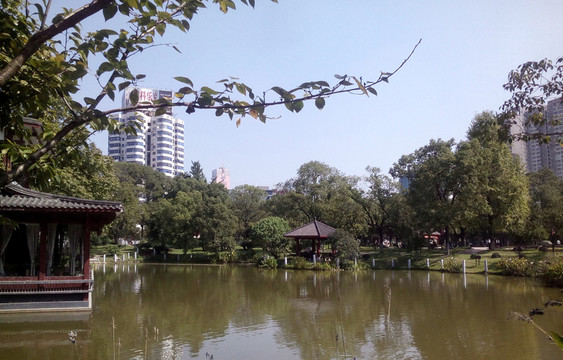 公園湖景