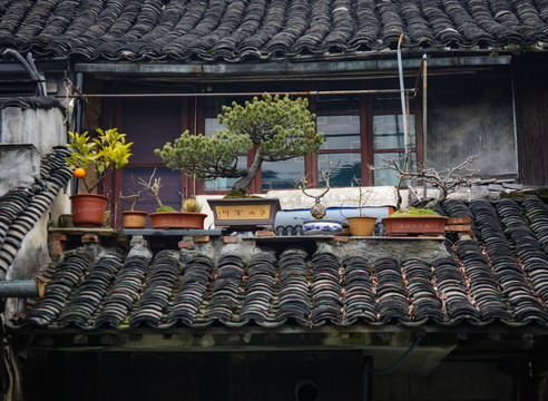 民居