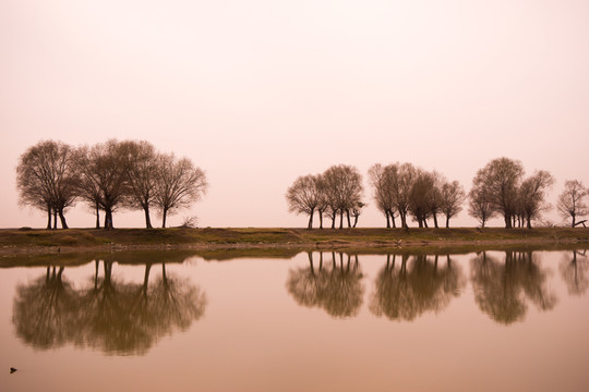 湖岸