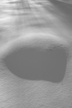 雪地