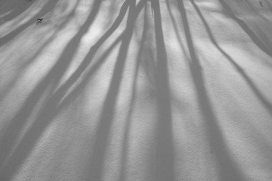 冬雪