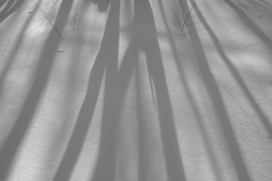 冬雪