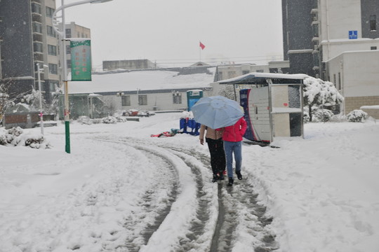 雪中行人 風(fēng)雪無阻