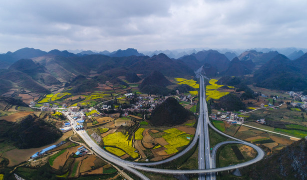 高速公路 油菜花 路