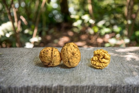 核桃 樹林石臺