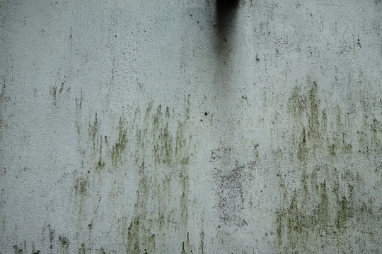 水泥墻