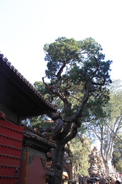 故宮園林