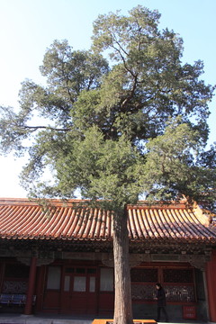 故宮園林