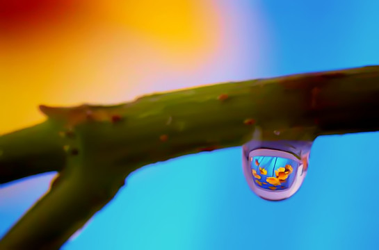 水滴