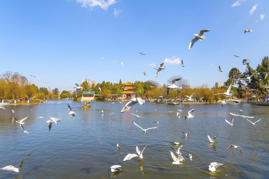 昆明大觀公園