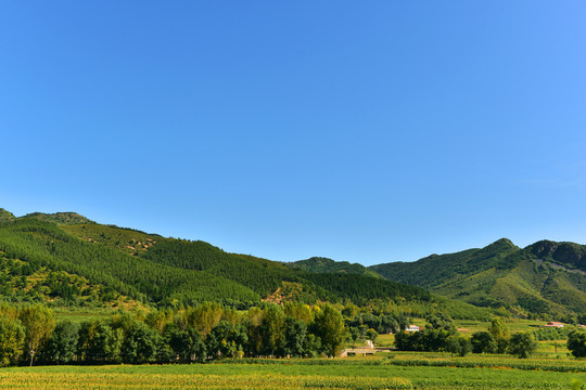 田園風(fēng)光