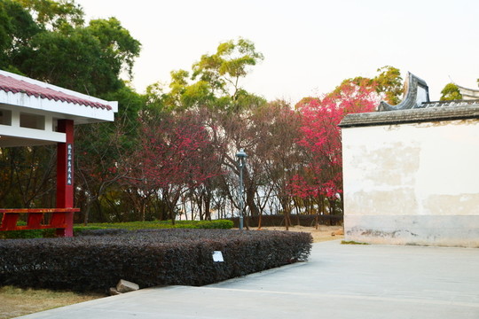 金雞山公園