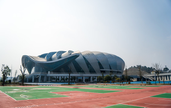 岳陽體育館