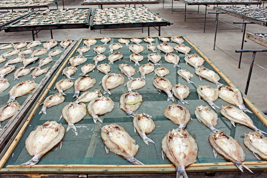 曬魚干