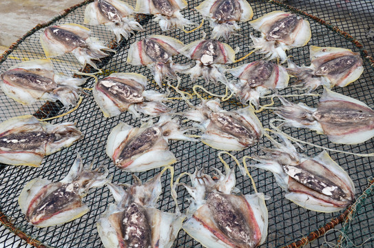 曬魷魚干