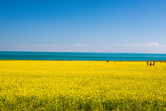 青海湖