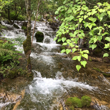 水景