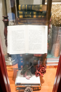 書店櫥窗 看書