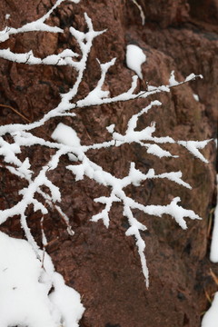 雪景特寫