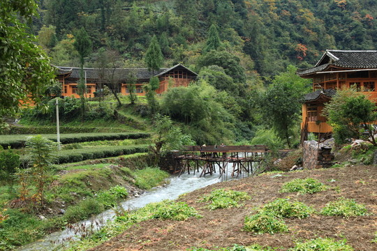 恩施風(fēng)光