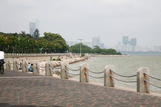 深圳 紅樹林