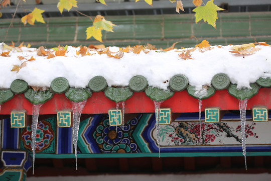 雪冰掛