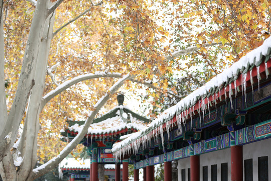 雪冰掛