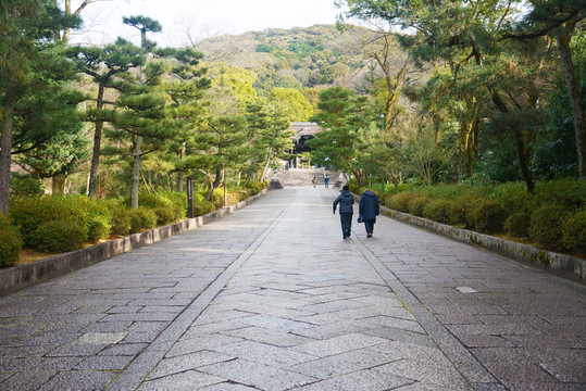 綠蔭街道