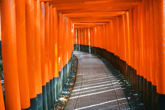 京都 伏見稻荷 神社