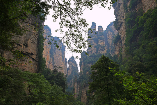 張家界千里相會(huì)峰