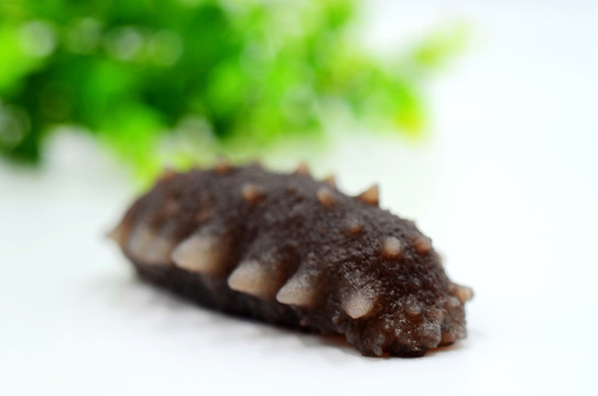鮮海參 即食海參