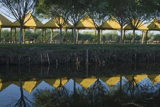 公園一角