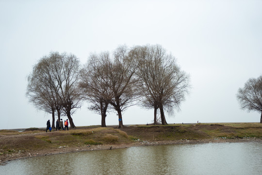 湖景 湖畔