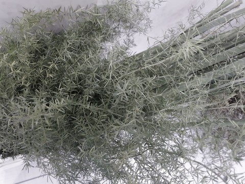 草