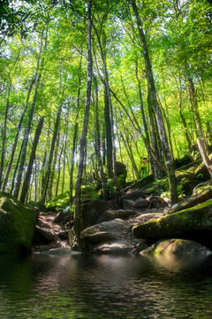 山水風(fēng)景