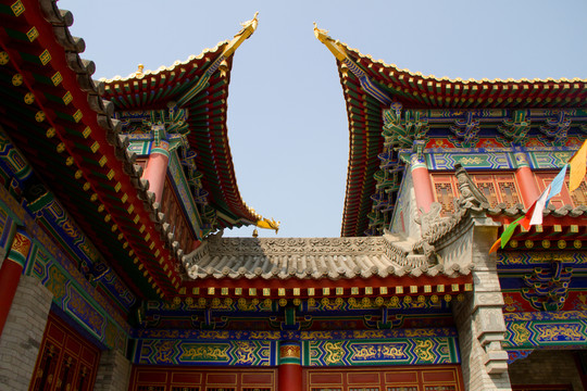 局部 廣仁寺金瓦殿