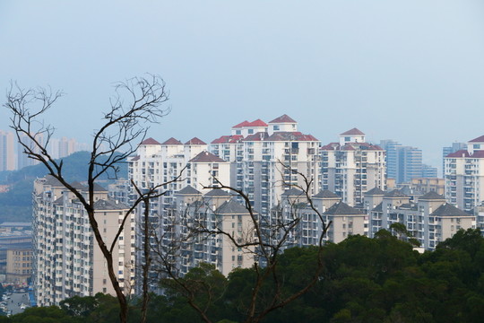福州市區(qū)
