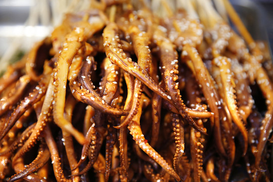 燒烤魷魚須