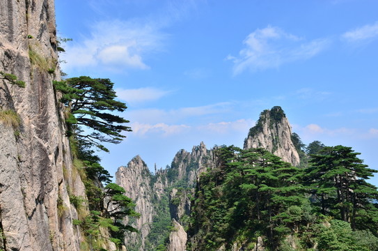黃山風(fēng)景