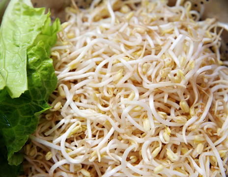 綠豆芽
