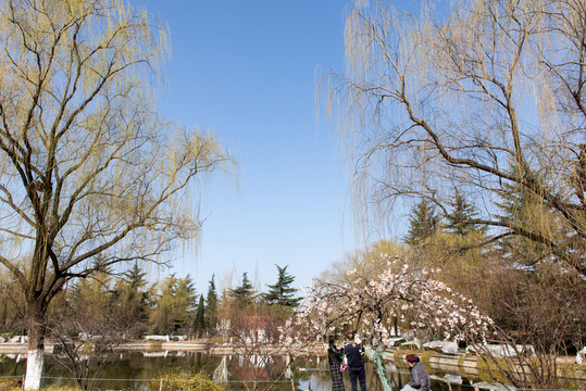 公園