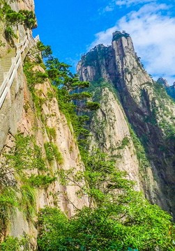 黃山風光 黃山棧道 黃山松