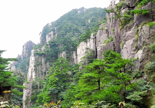 黃山風(fēng)光 黃山棧道 黃山松